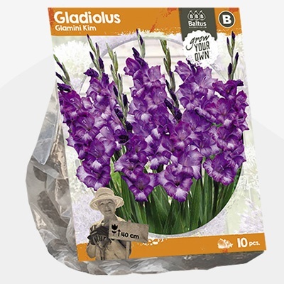 zwaardlelie_gladiolus-glamini-kim-sp-per-10