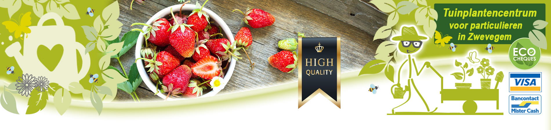aardbeiplantjes kopen