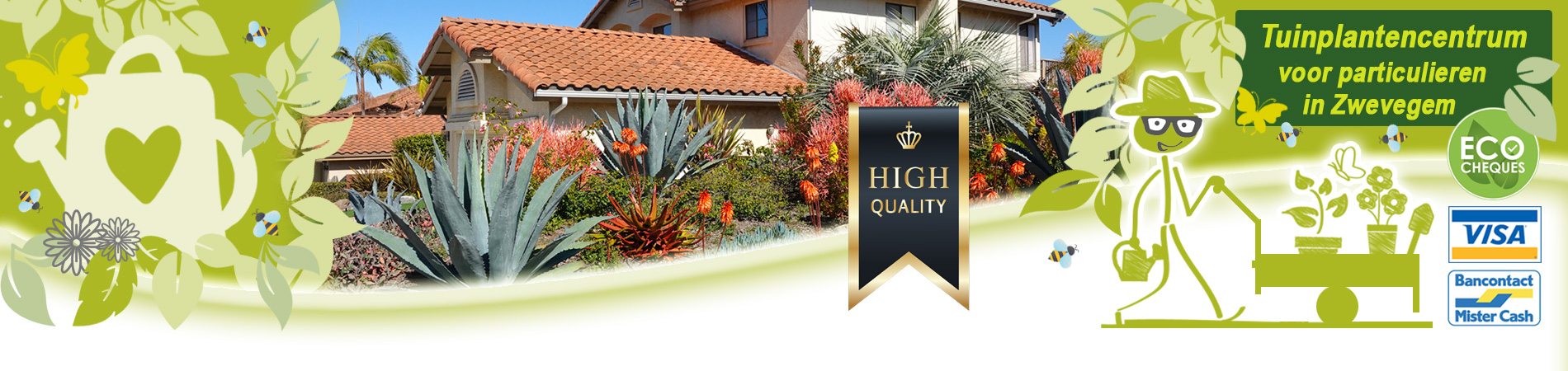 planten die goed tegen droogte kunnen kopen