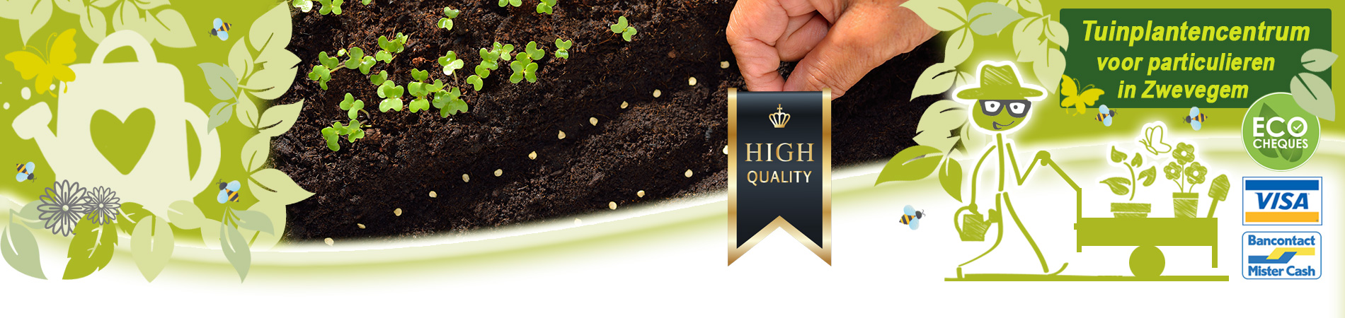 zaden voor groenten kruiden kopen