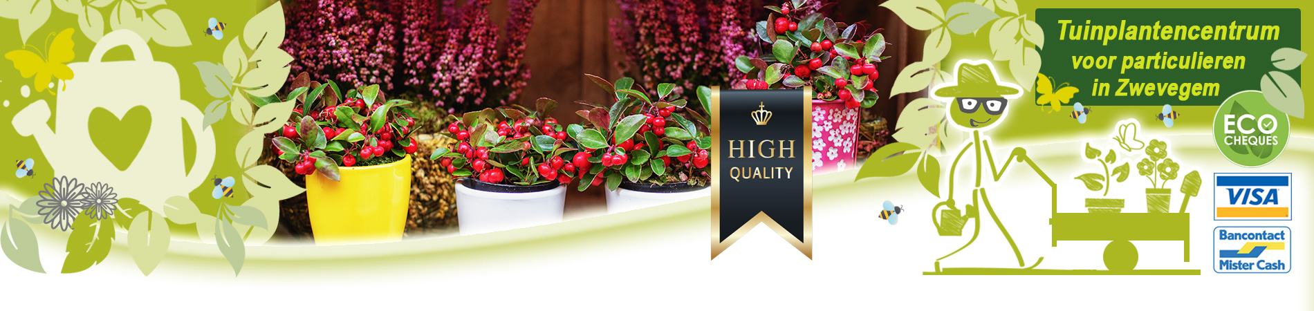 herfstbeplanting kopen