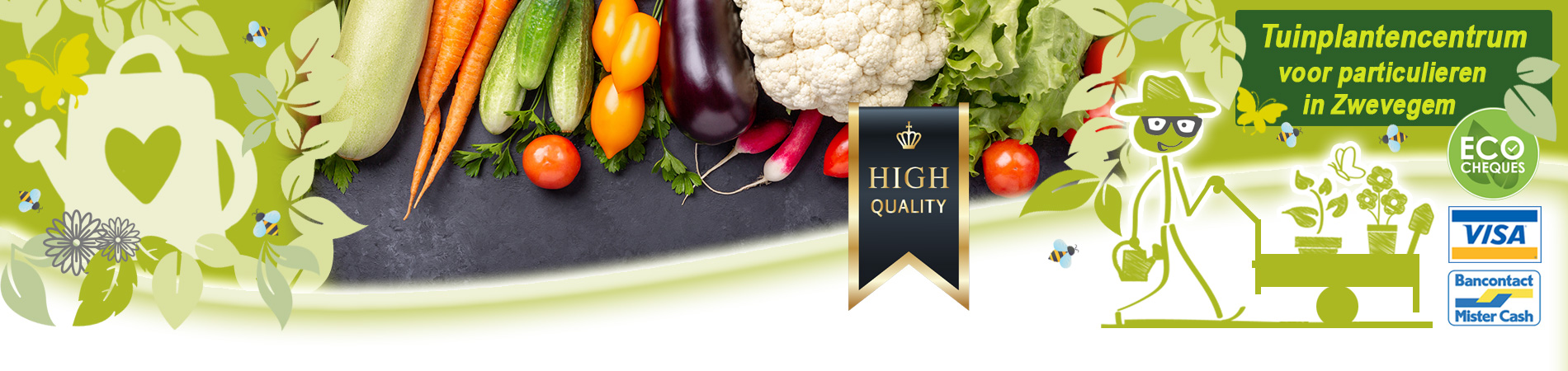 moestuin planten kopen