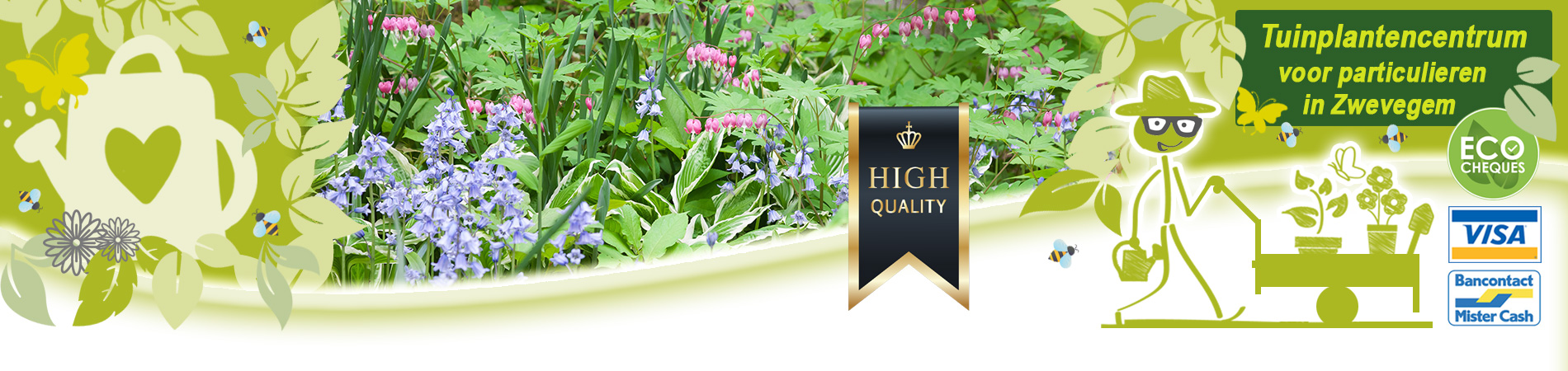 schaduwplanten kopen