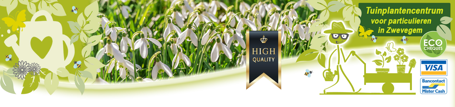 stinzenplanten voor verwildering