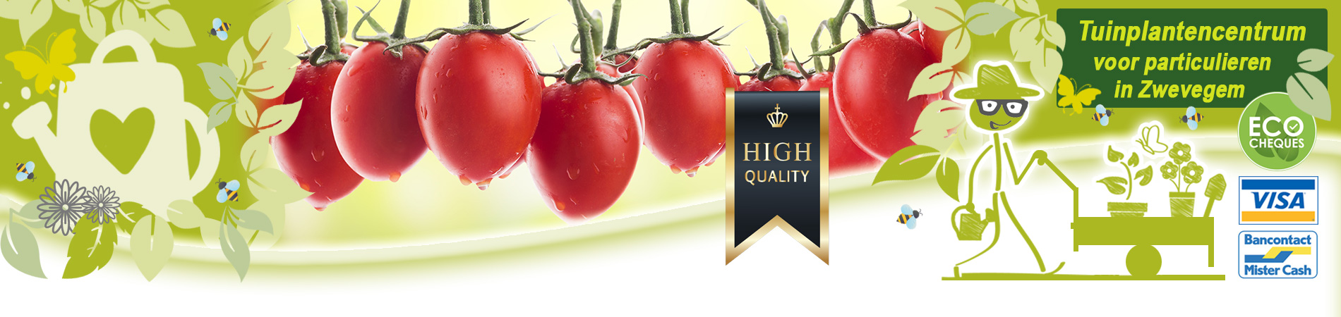 vruchtgroenten kopen