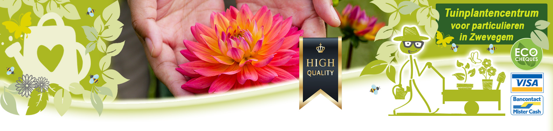 bloembollen voor zomer kopen