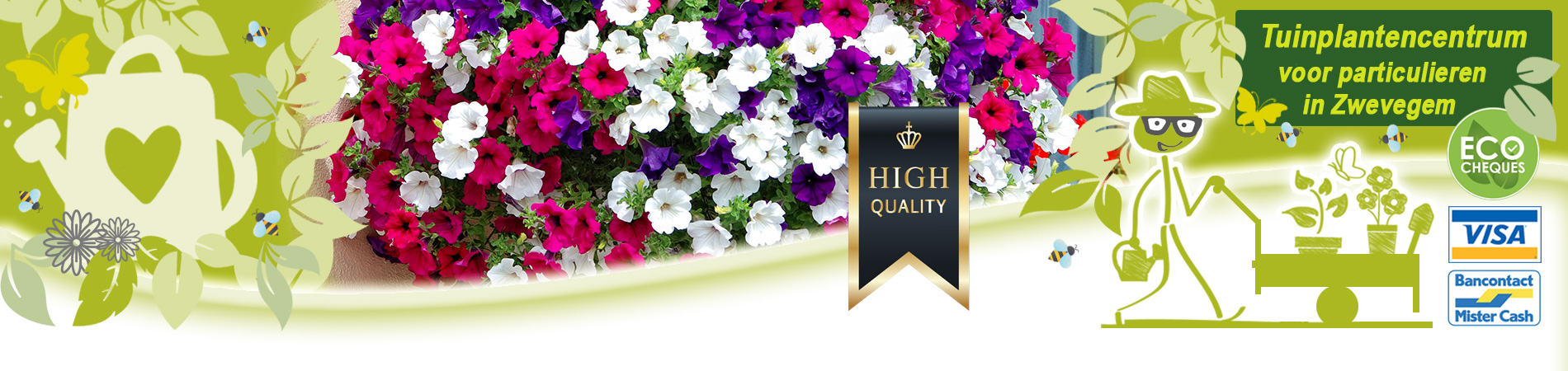 zomerbloeiers mix kopen